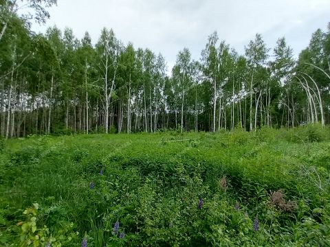 derevnya-hmelevaya-polyana-dalnekonstantinovskiy-rayon фото