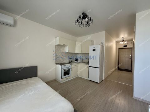 kvartira-studiya-derevnya-ankudinovka-kstovskiy-rayon фото