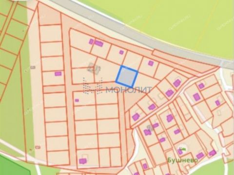 derevnya-bushnevo-gorodeckiy-rayon фото