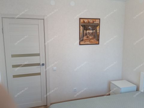 2-komnatnaya-derevnya-kuznechiha-prosp-geroev-donbassa-d-17 фото