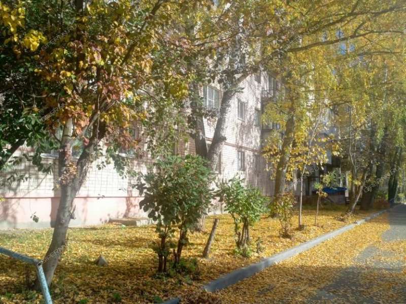 однокомнатная квартира на Нижегородской улице дом 18 город Кстово
