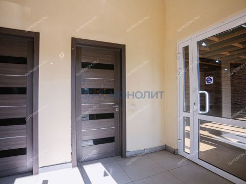 derevnya-afonino-kstovskiy-rayon фото