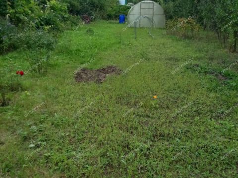 dacha-derevnya-zimenki-bogorodskiy-municipalnyy-okrug фото