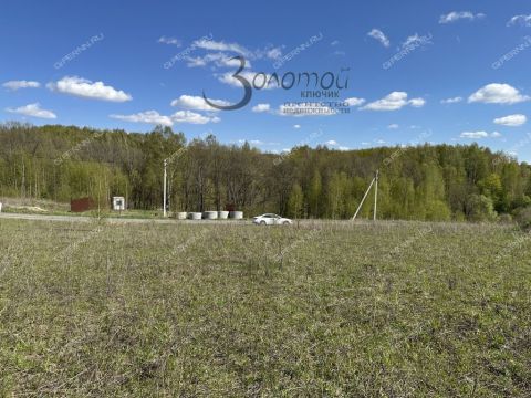 derevnya-shumilovo-bogorodskiy-municipalnyy-okrug фото