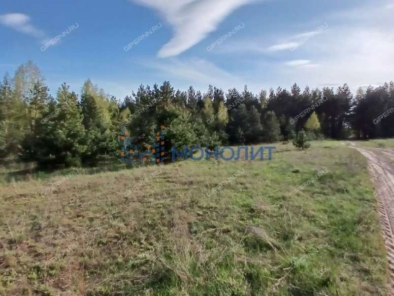 земельный участок 596,6 сотки Рабочая улица деревня Лапшиха