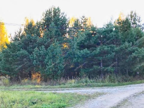 selo-ostankino-gorodskoy-okrug-bor фото
