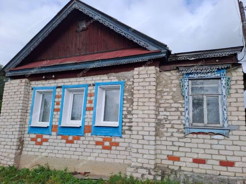 дом на улице Завраг деревня Беляниха