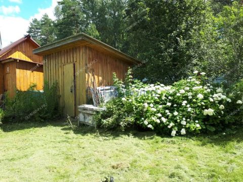 dacha-derevnya-molostovo-gorodskoy-okrug-bor фото