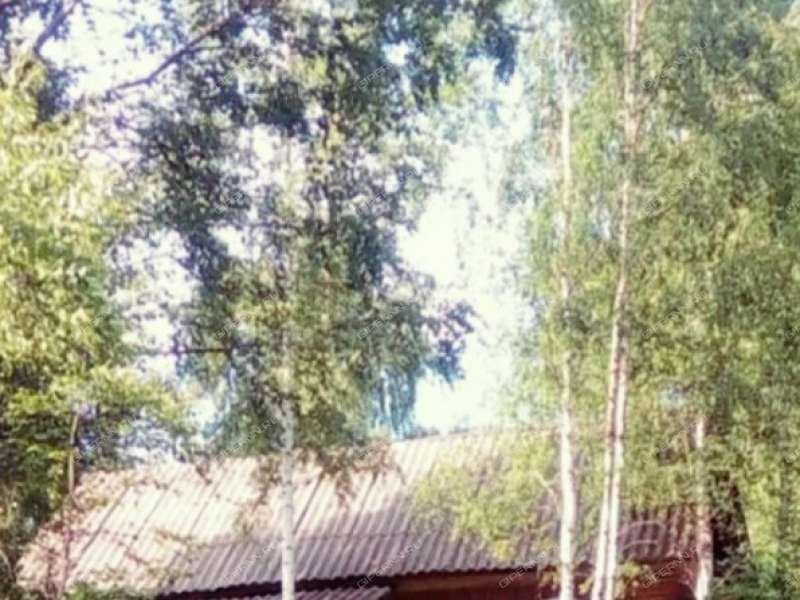 дом на  Тюрино