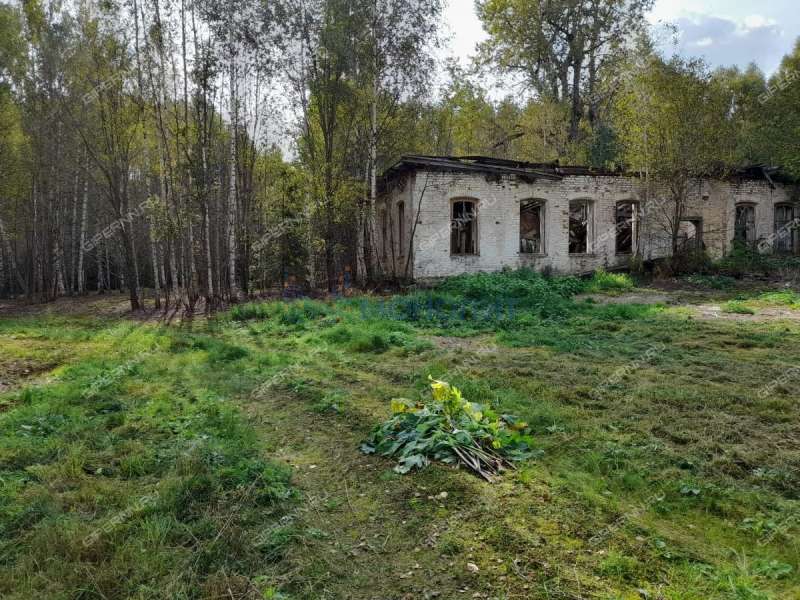 земельный участок 500 соток - деревня Боярское