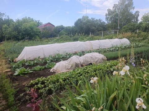 dom-selo-yagubovka-buturlinskiy-municipalnyy-okrug фото