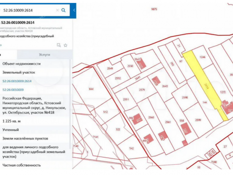derevnya-nikulskoe-kstovskiy-rayon фото