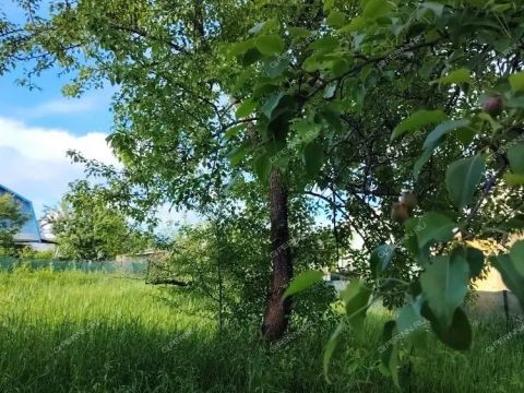 dacha-snt-doz-1-snt-doz-1 фото