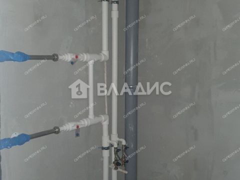 1-komnatnaya-derevnya-afonino-kstovskiy-rayon фото