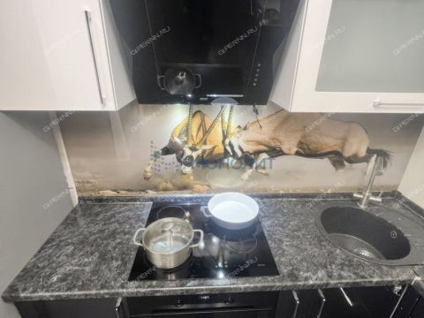 1-komnatnaya-b-r-yuzhnyy-d-20 фото