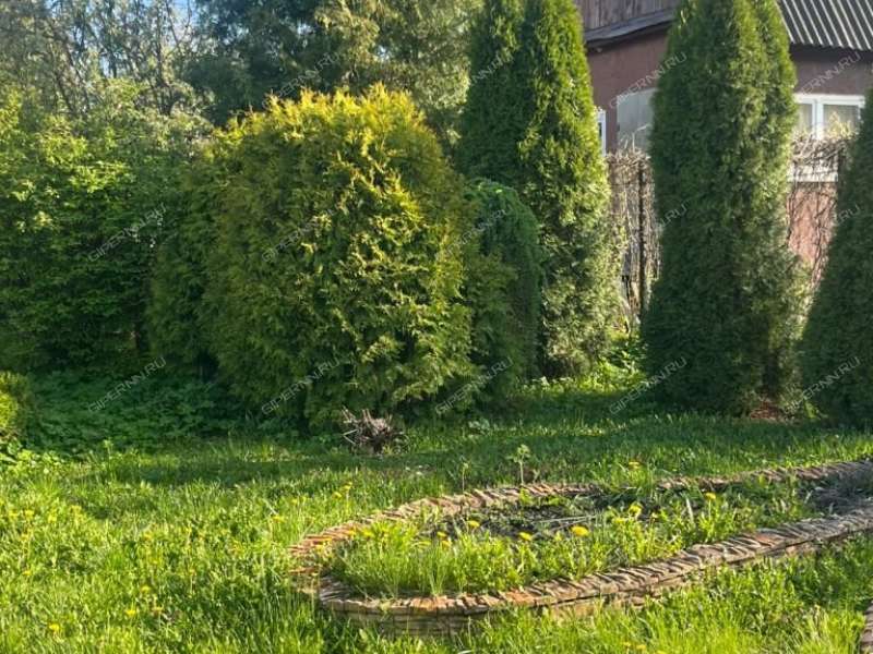 дача на снт Березка деревня Темряшино