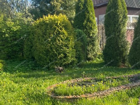 dacha-derevnya-temryashino-gorodskoy-okrug-bor фото