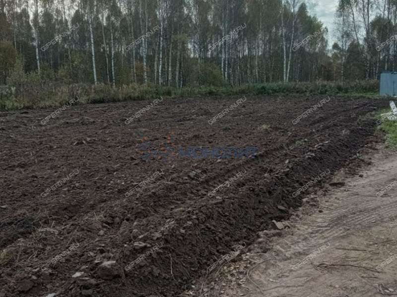 земельный участок 15 соток улица Космонавтов деревня Берёзовка