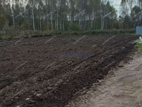 derevnya-berezovka-bogorodskiy-municipalnyy-okrug фото