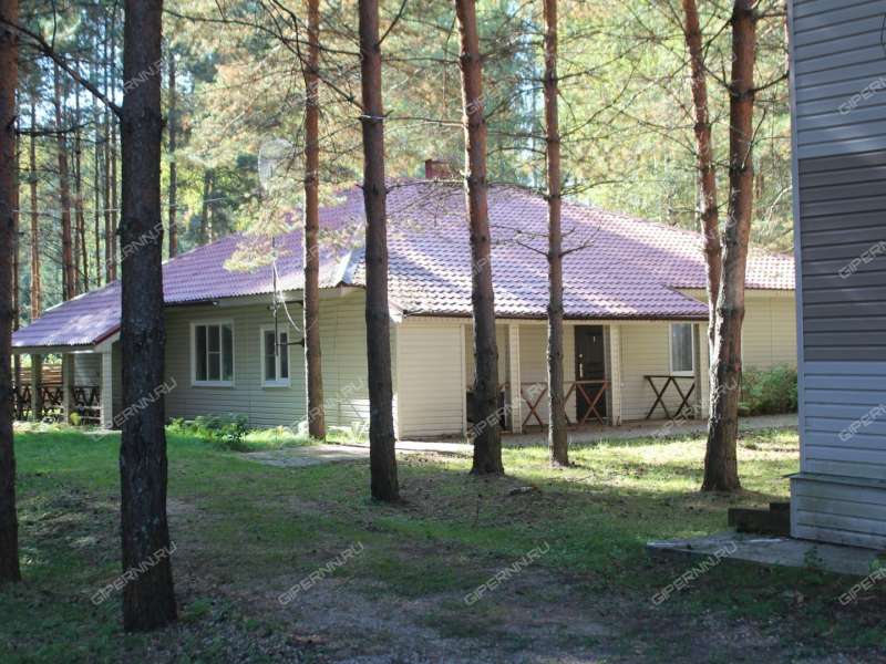 готовый бизнес база отдыха на горьковском море в городском округе Сокольский Нижегородской области