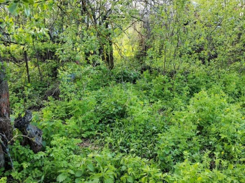 дом в переулке Ремизова город Выкса