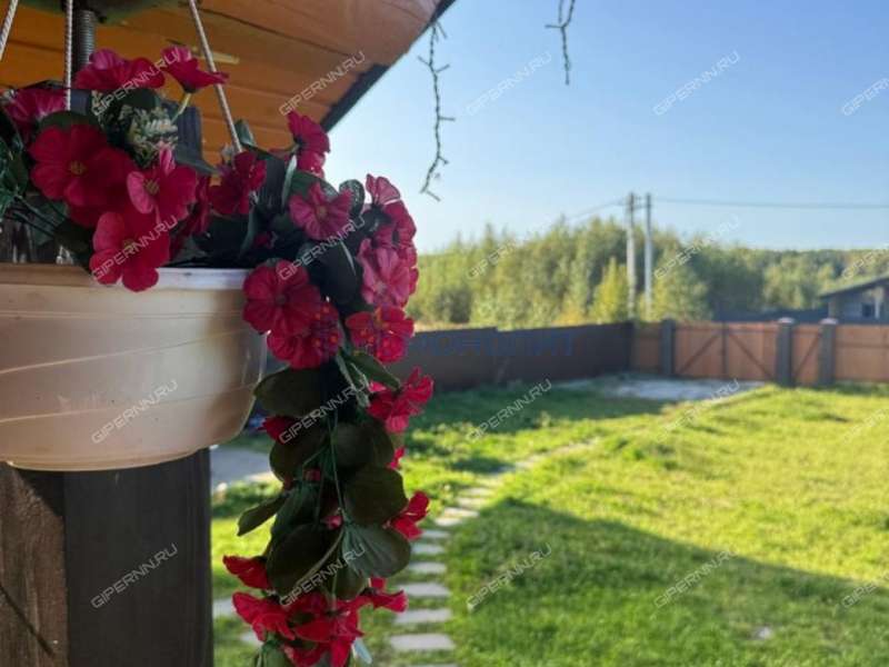 дом на улице Счастливая село Елховка