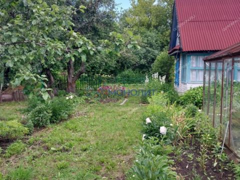 dacha-zarya-3-selo-redkino-redkinskiy-selsovet-ter-snt-gorodskoy-okrug-bor фото
