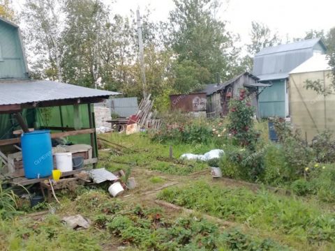 dacha-nst-stroygaz фото