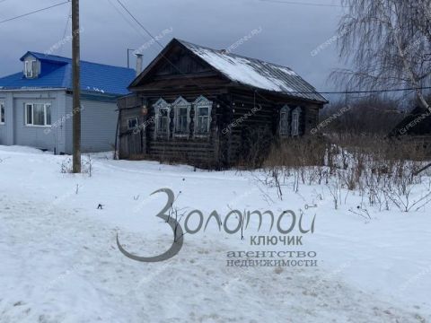 dom-selo-bolshoe-tumanovo-gorodskoy-okrug-arzamas фото