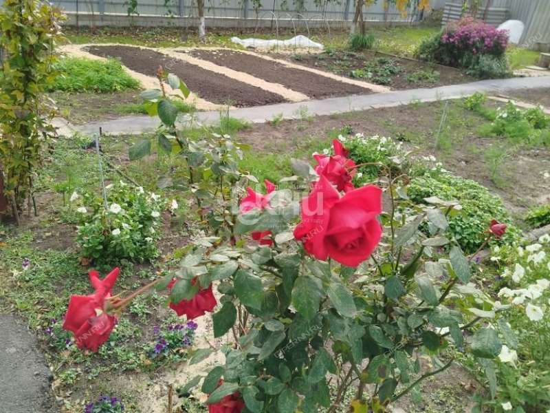 дом на Севастопольской улице