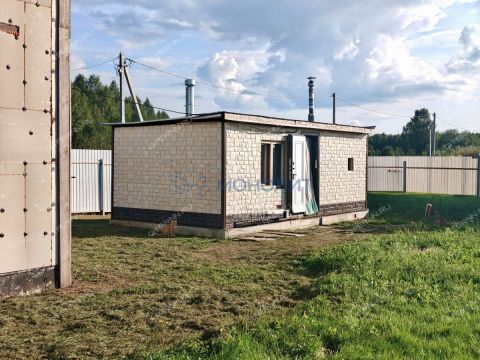 derevnya-gumnishhi-balahninskiy-municipalnyy-okrug фото
