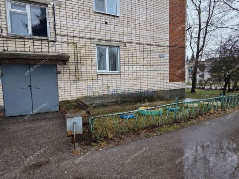 трёхкомнатная квартира на улице Молькова дом 39 деревня Прокошево