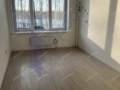 1-komnatnaya-poselok-kultura-kstovskiy-rayon фото