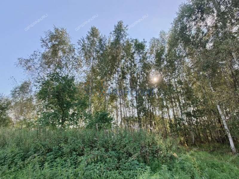 земельный участок 15,7 сотки Центральная улица