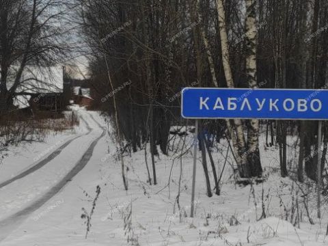 derevnya-kablukovo-gorodskoy-okrug-chkalovsk фото