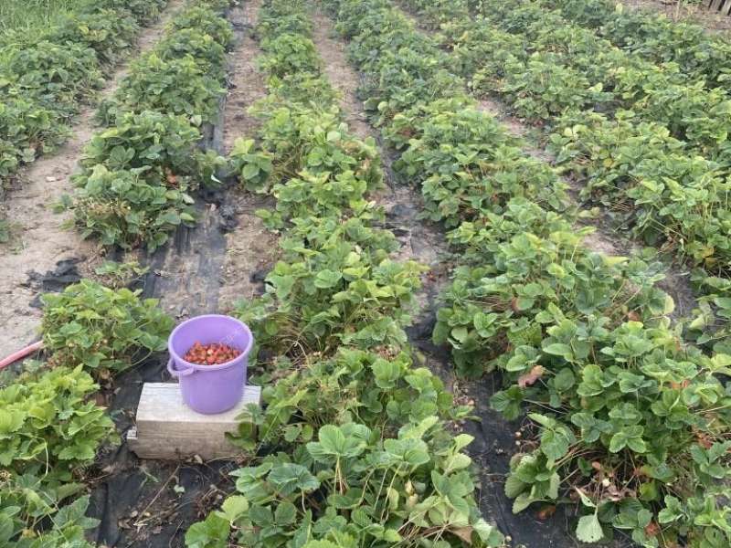 дом на улице Октябрьская село Великовское
