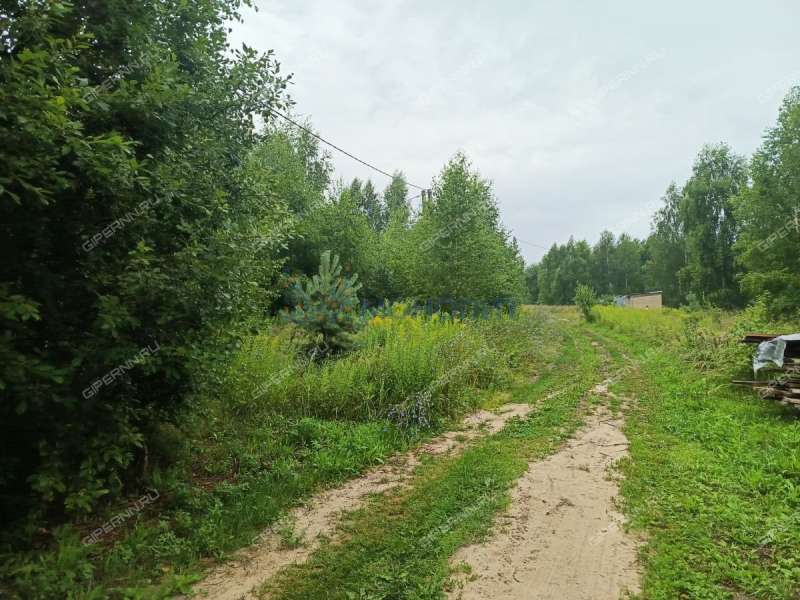 земельный участок 10 соток Дружбы улица село Елховка