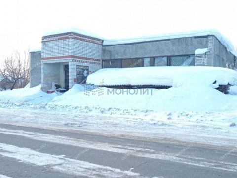 derevnya-medvedevo-semenovskiy-gorodskoy-okrug фото