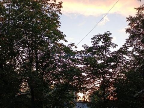 2-komnatnaya-sh-yuzhnoe-d-42a фото