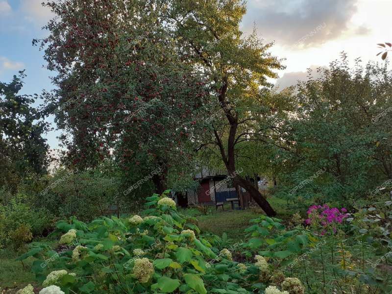 Купить Сад В Балахне Области