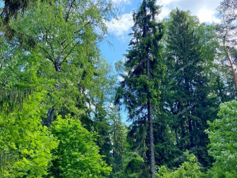 земельный участок 20 соток - деревня Фалино-Пестово