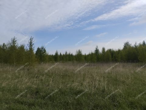 derevnya-chuvarley-dalnekonstantinovskiy-rayon фото