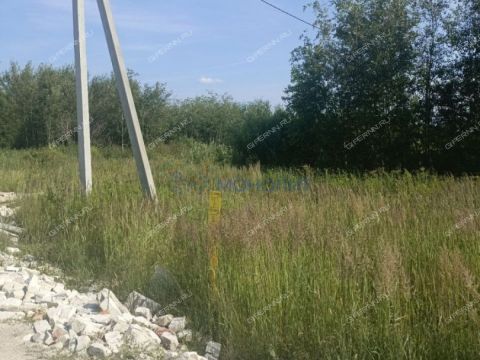 gorod-bor-gorodskoy-okrug-bor фото