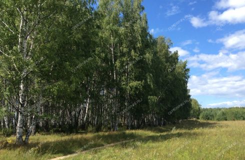 Купить Участок Юрково Сокольский Район Нижегородская Область