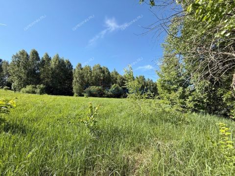 selo-egorevskoe-lyskovskiy-municipalnyy-okrug фото