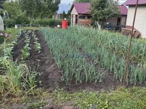 dacha-adonis-derevnya-lapshiha-ter-snt-dalnekonstantinovskiy-rayon фото