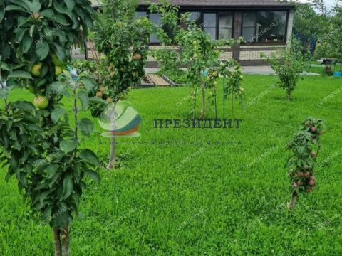 kottedzh-selo-doskino-bogorodskiy-municipalnyy-okrug фото