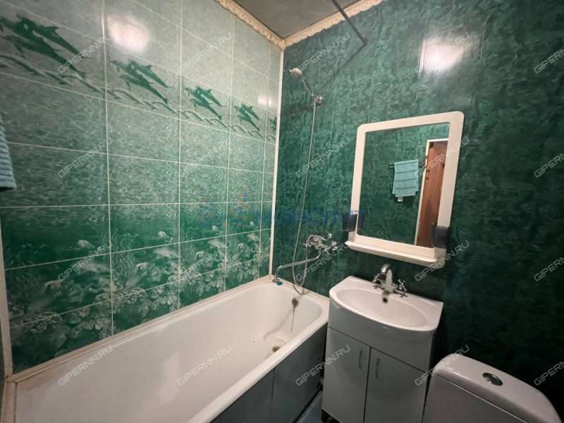 однокомнатная квартира на улице Германа Лопатина дом 2