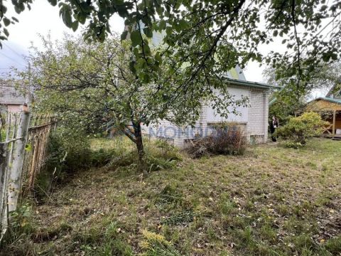 dacha-poselok-okskiy-bogorodskiy-municipalnyy-okrug фото