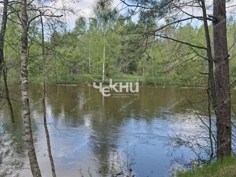 земельный участок 63 сотки деревня Дубрава